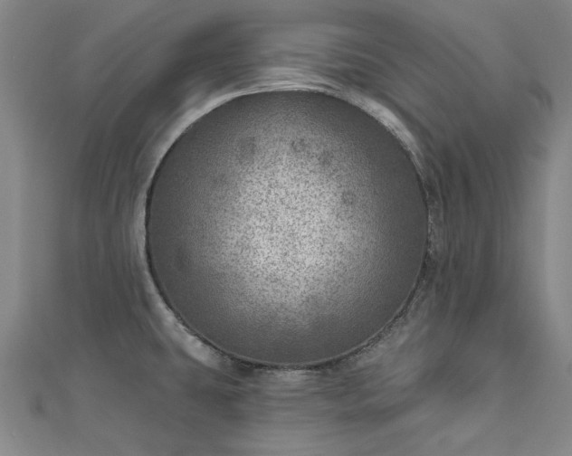 X0000112761431200908271610