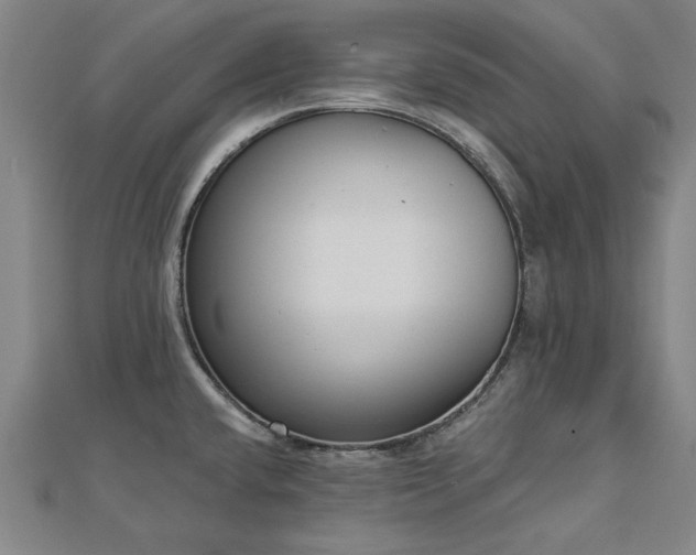 X0000112761432200908271610
