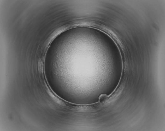 X0000112761433200908271610