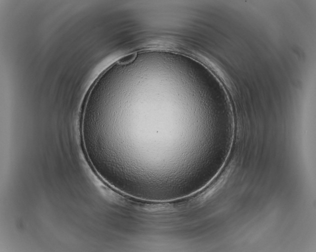 X0000112761434200908271610