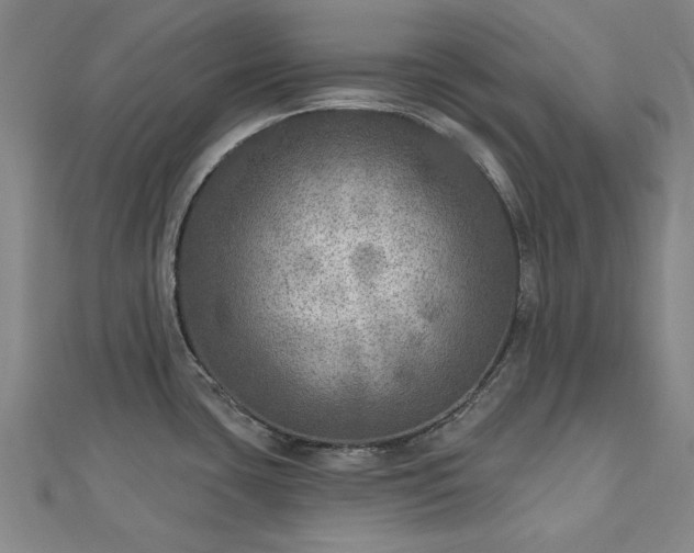 X0000112761435200908271610