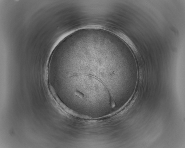 X0000112761436200908271610