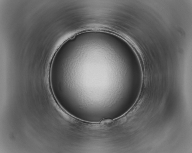 X0000112761437200908271610