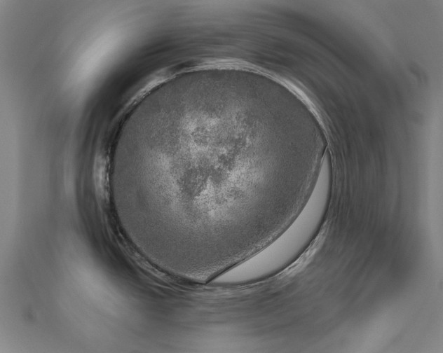 X0000112761438200908271610