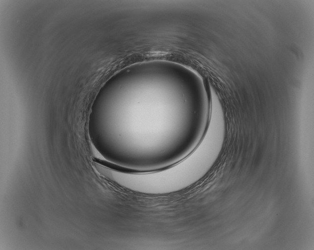 X0000112761441200908271609