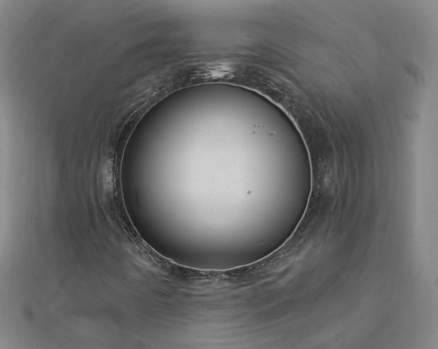 X0000112761442200908271609