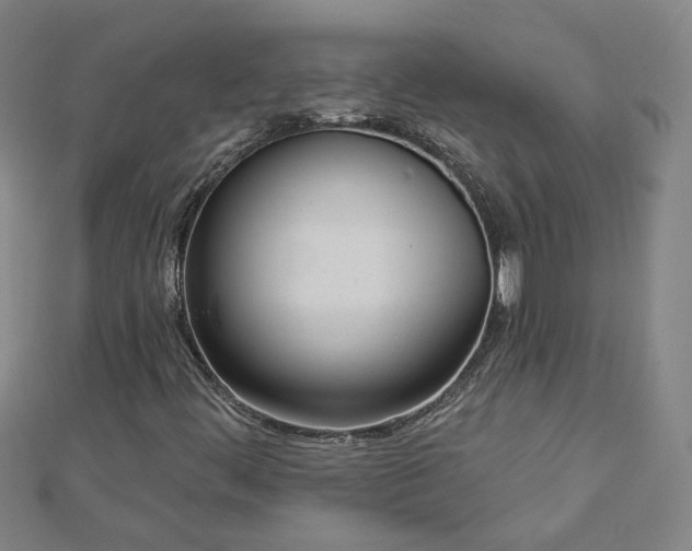 X0000112761444200908271609