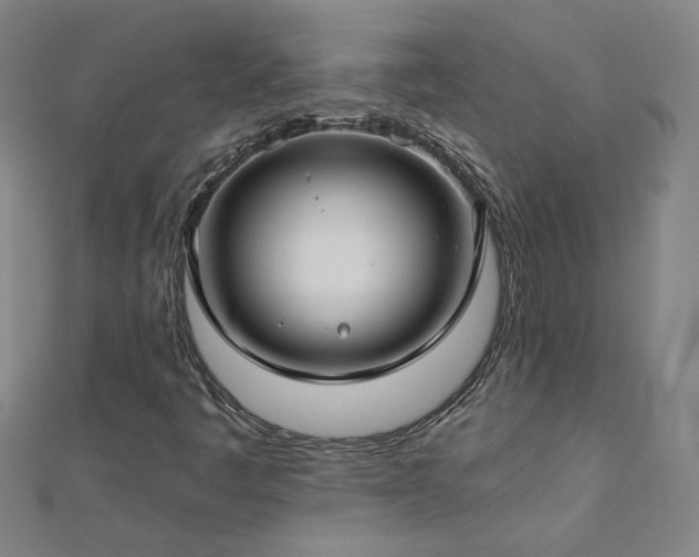 X0000112761445200908271609
