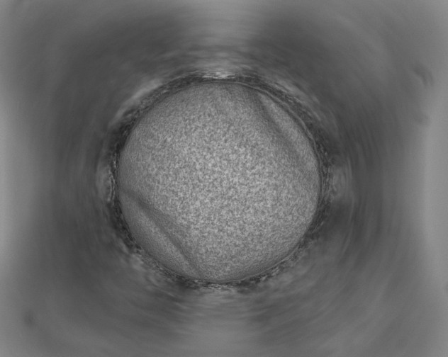 X0000112761446200908271609