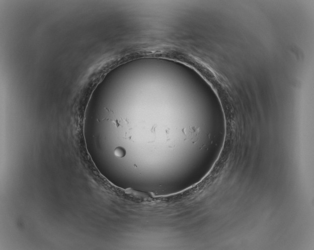 X0000112761447200908271609