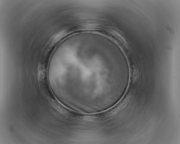 X0000112761449200908271609