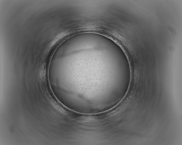 X0000112761450200908271609