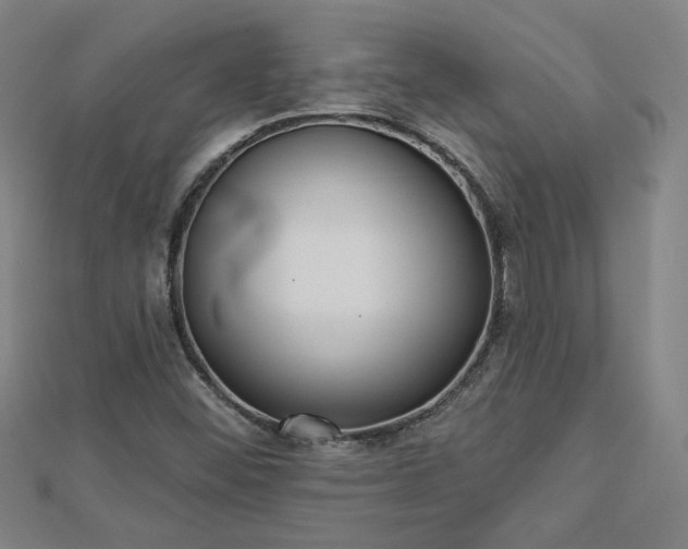 X0000112761452200908271609