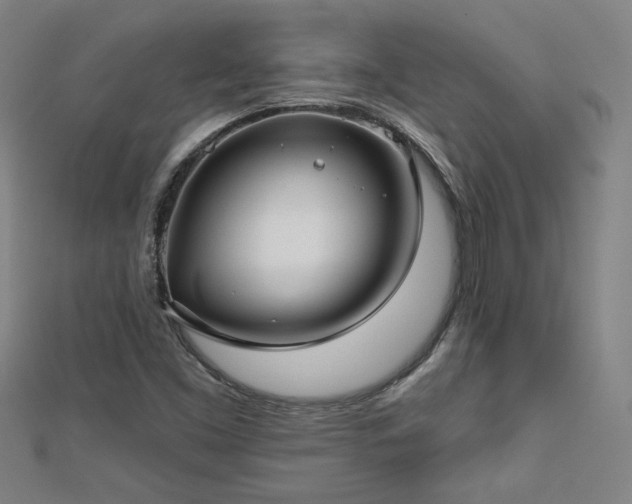 X0000112761453200908271609
