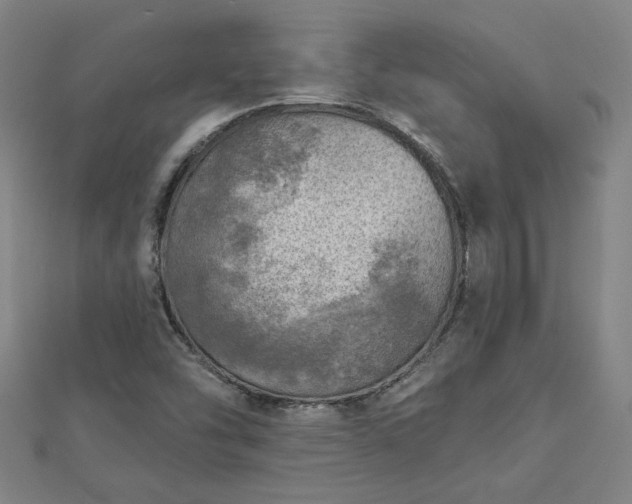 X0000112761454200908271609
