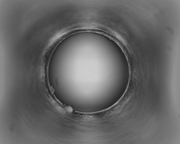 X0000112761456200908271609