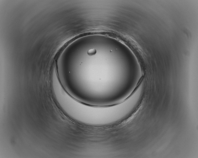 X0000112761457200908271609