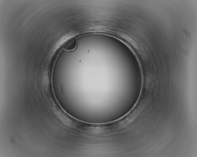 X0000112761458200908271609