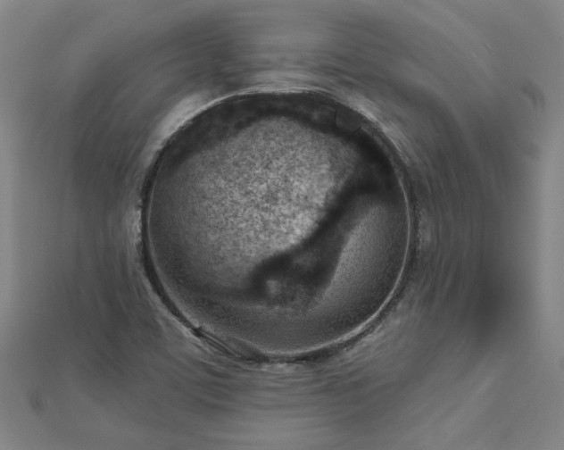 X0000112761459200908271609