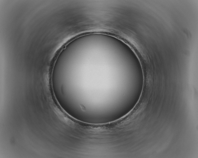X0000112761460200908271609