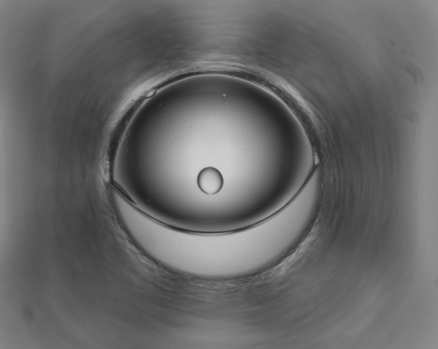 X0000112761461200908271609