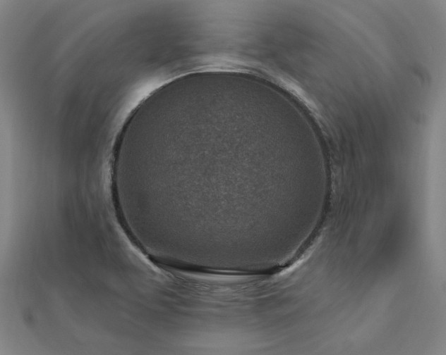 X0000112761463200908271609