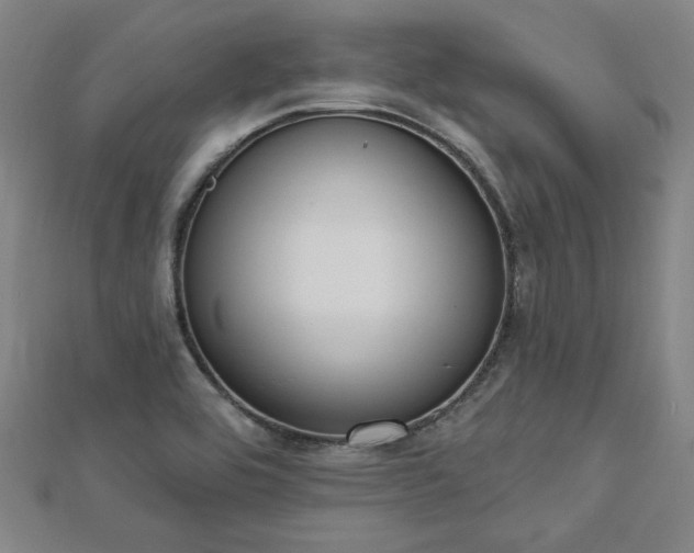 X0000112761464200908271609