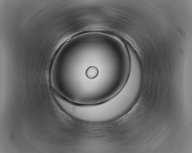 X0000112761465200908271609