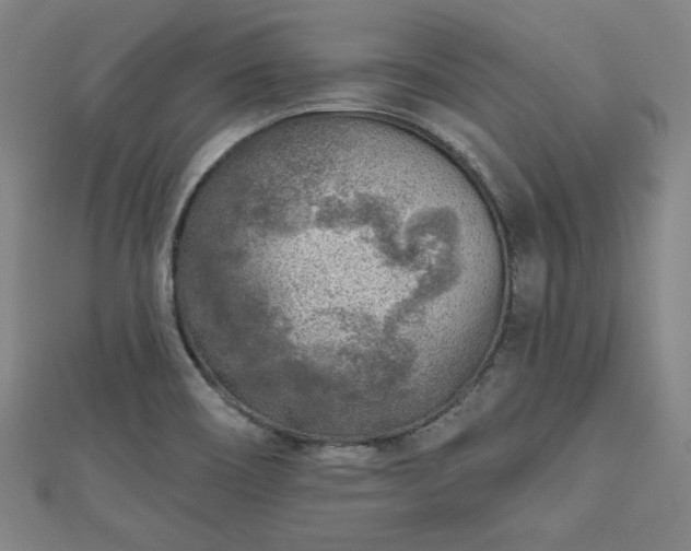 X0000112761466200908271609