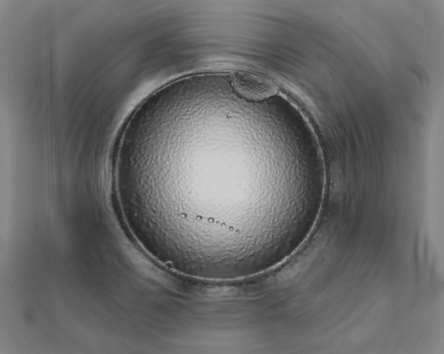 X0000112761467200908271609