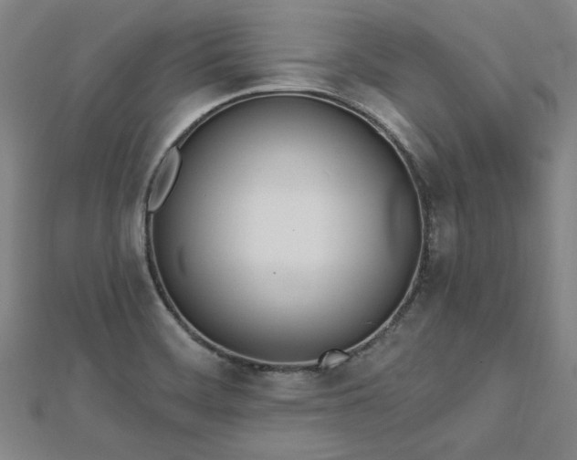 X0000112761468200908271609