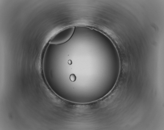 X0000112761469200908271609