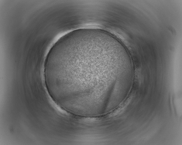 X0000112761470200908271609