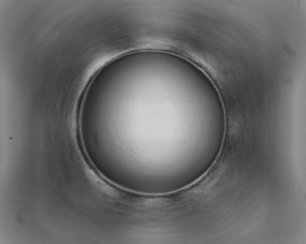 X0000112761471200908271609