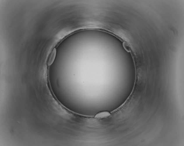 X0000112761472200908271609