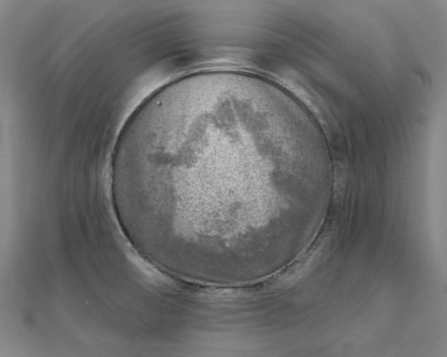 X0000112761474200908271608