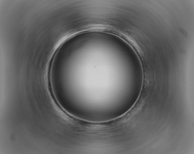 X0000112761475200908271608