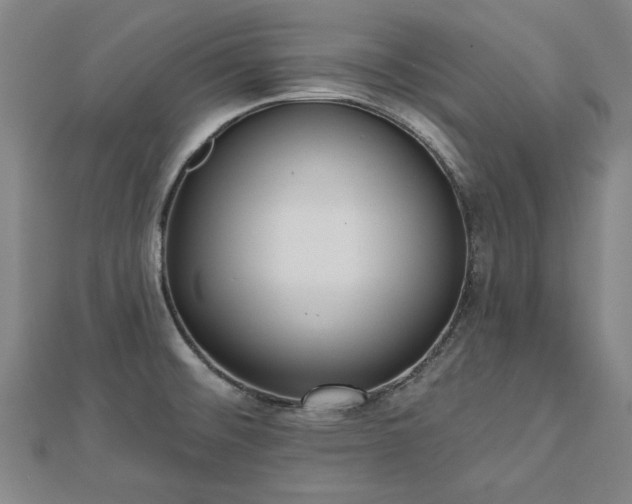 X0000112761476200908271608