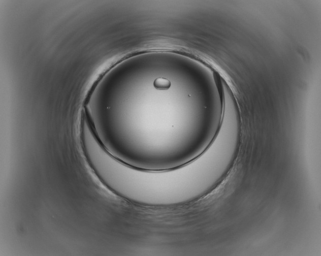 X0000112761477200908271608