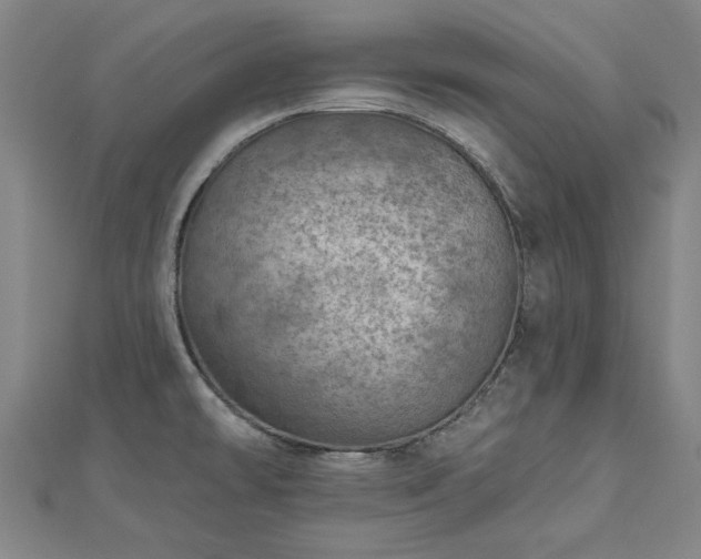 X0000112761478200908271608