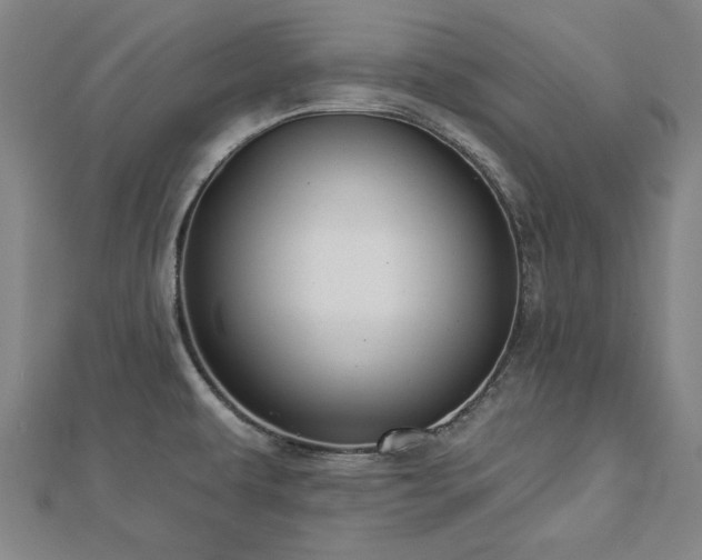 X0000112761479200908271608