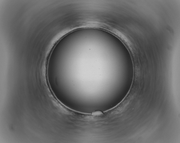 X0000112761480200908271608
