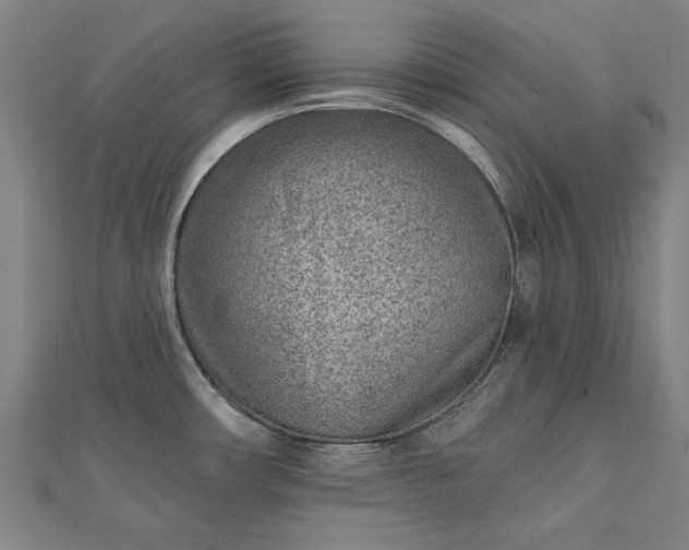 X0000112761482200908271608