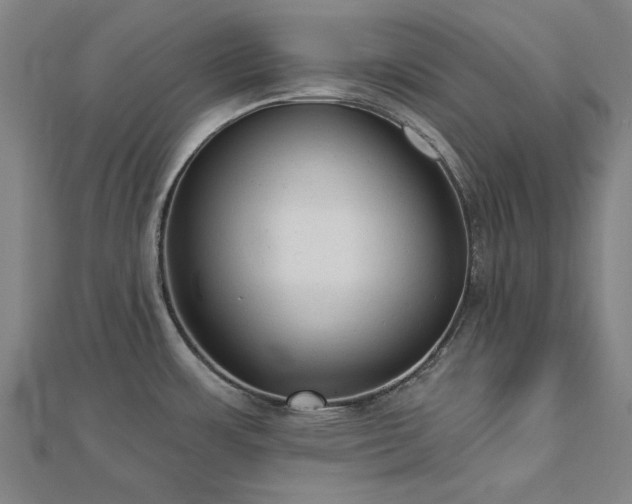 X0000112761483200908271608