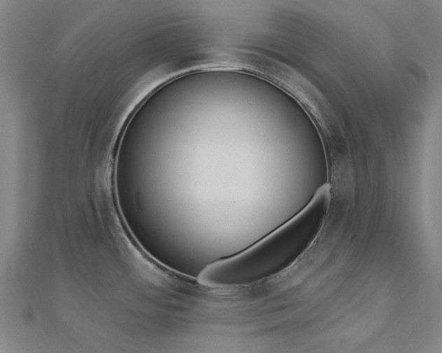 X0000112761484200908271608