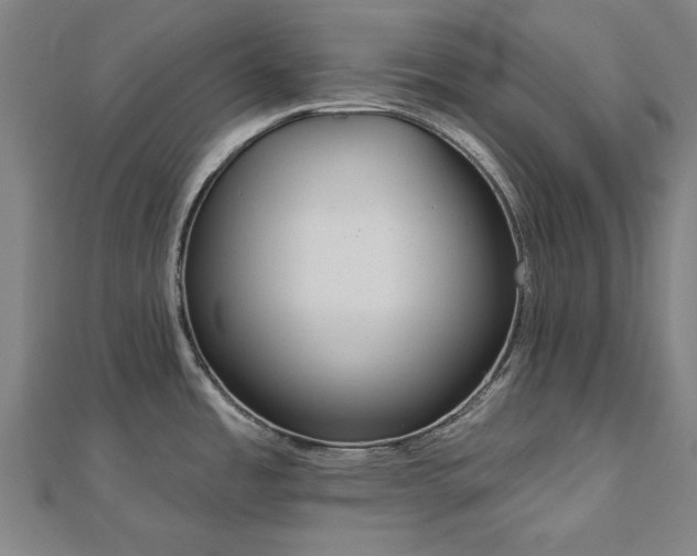 X0000112761485200908271608