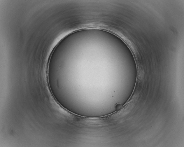 X0000112761486200908271608