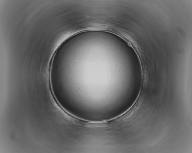 X0000112761487200908271608