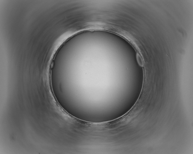 X0000112761488200908271608