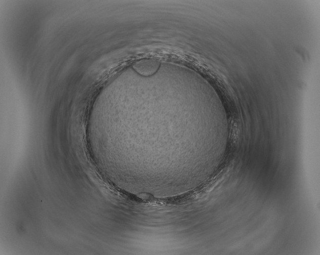 X0000112761489200908271608